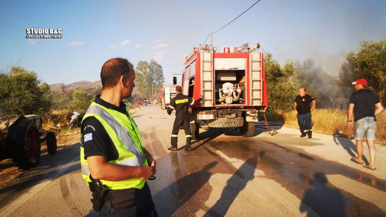 Αργολίδα: Πυρκαγιά στην περιοχή της Πουλακίδας